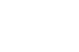 Lenovo white logo