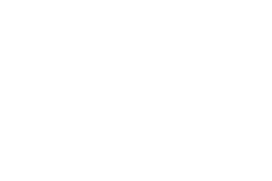Microsoft white logo