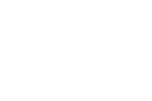 HP white logo